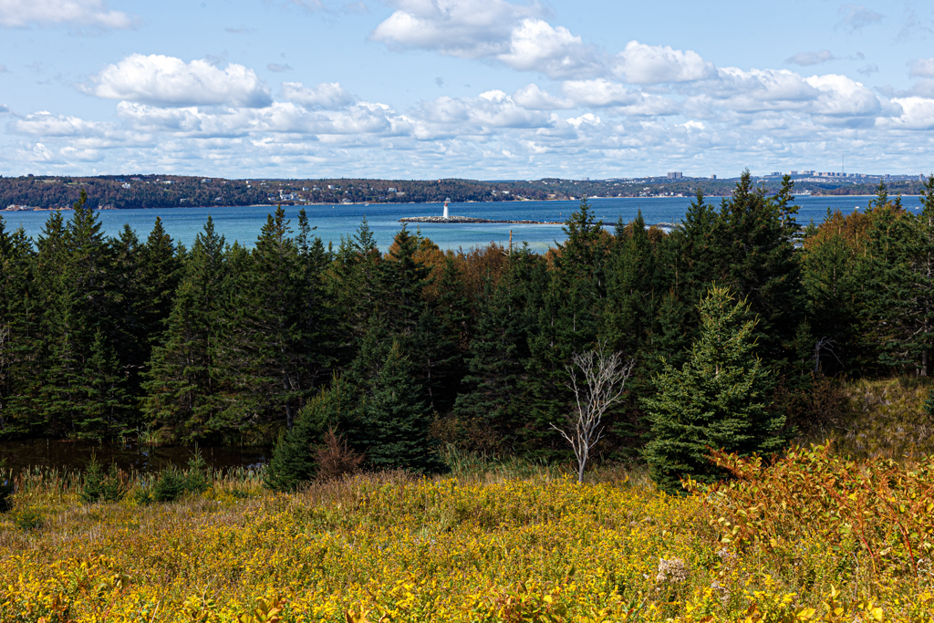Carlos Moreno Photography Halifax