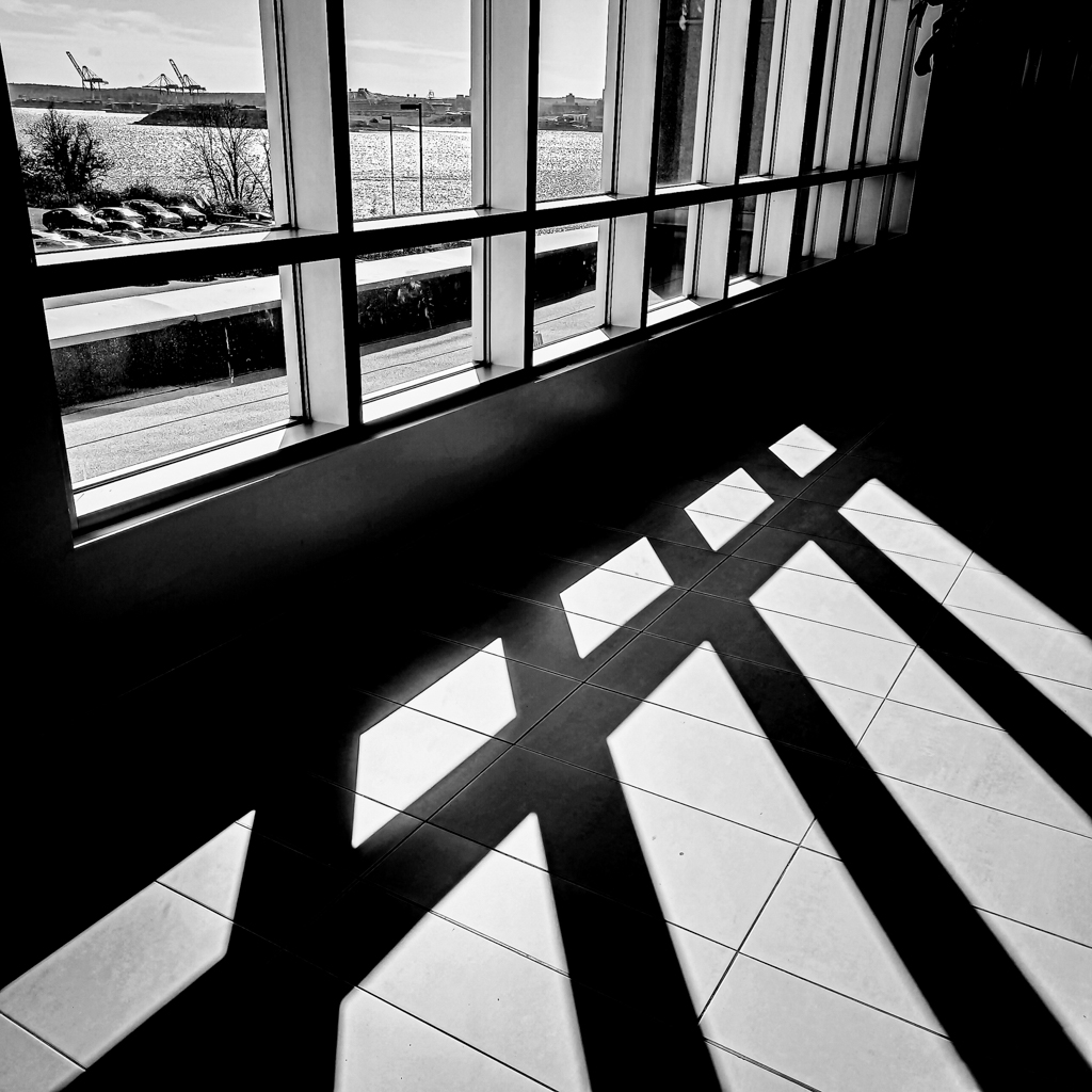 Carlos Moreno Photography Halifax